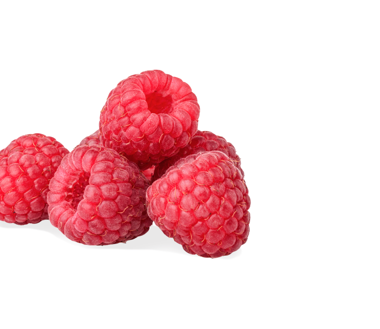 Himbeeren Links