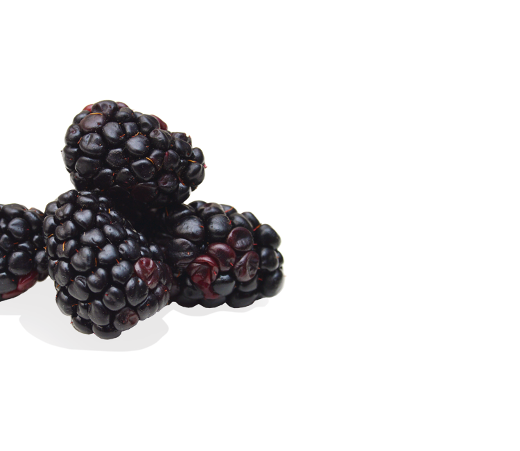 Brombeeren