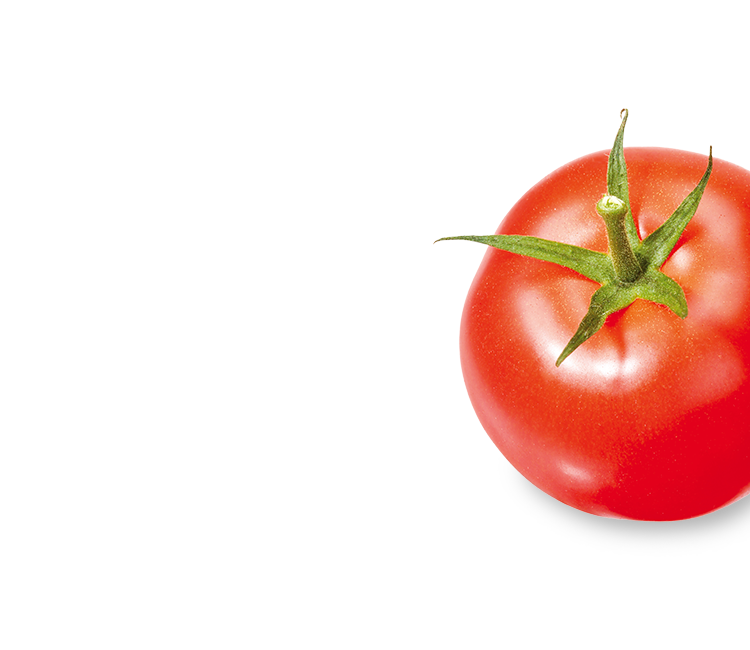 Tomate