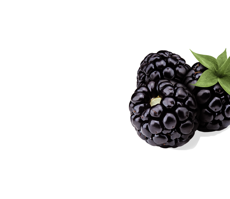 Brombeeren