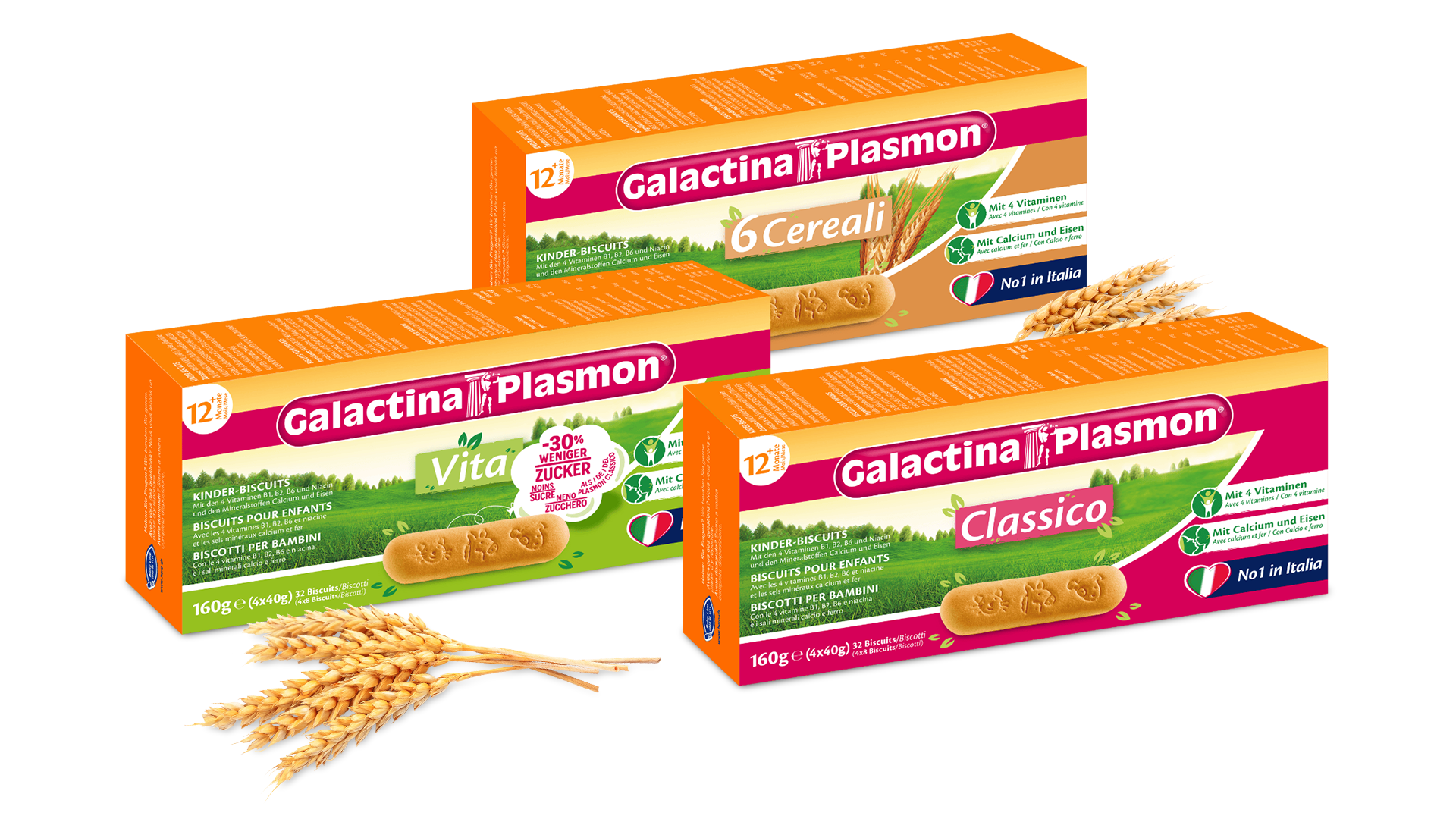 Galactina Plasmon Sortimentsübersicht